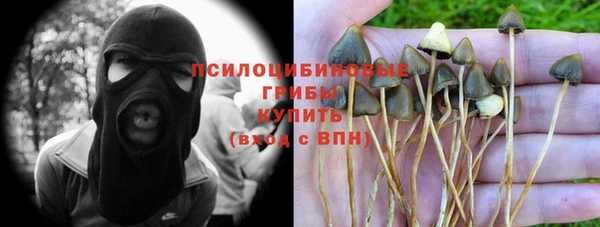 соль курить ск Бородино