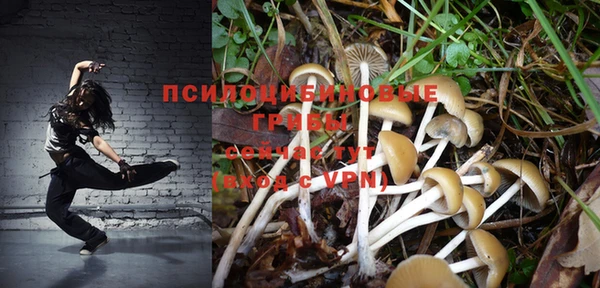 соль курить ск Бородино