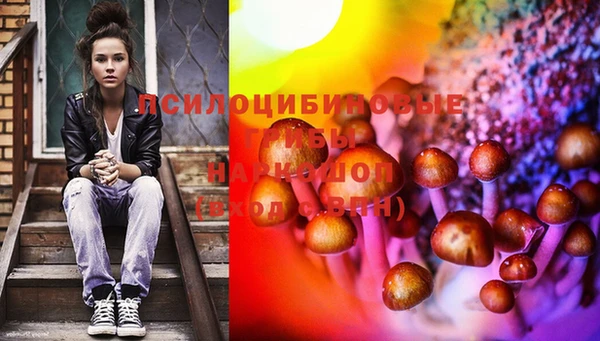 соль курить ск Бородино