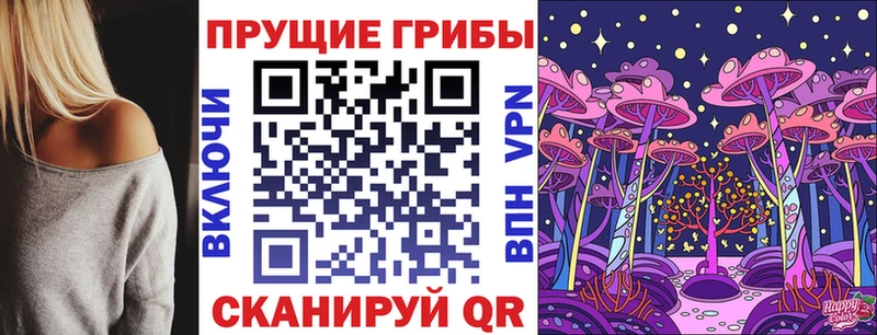 Купить  Егорьевск  Псилоцибиновые грибы Psilocybe 