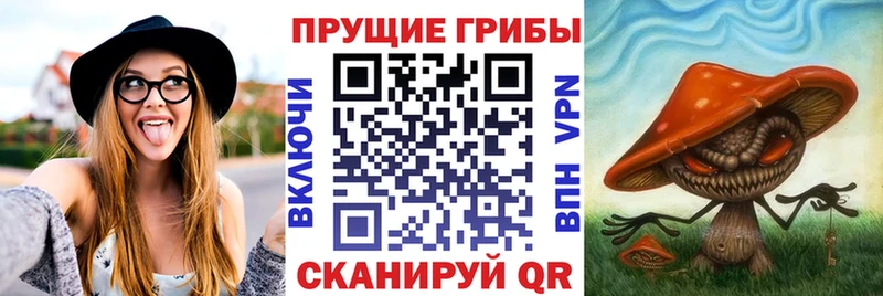 Псилоцибиновые грибы мицелий Егорьевск